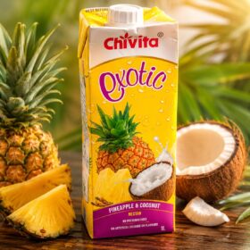 Jus De Fruit Ananas Coco 1L