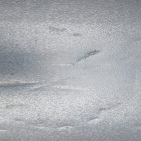 CONGELATEUR HORIZONT. COFFRE 830L FINIX XF-650 GRIS 2PTE 19X71X82 REC