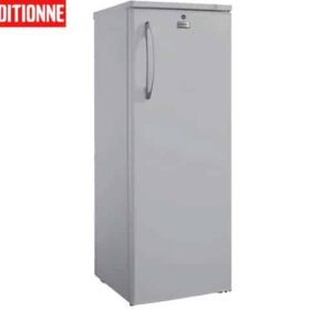 CONGELATEUR VERTICAL 212L FINIX BD-212L 8 TIRR GRIS 548*560*1440 RECO
