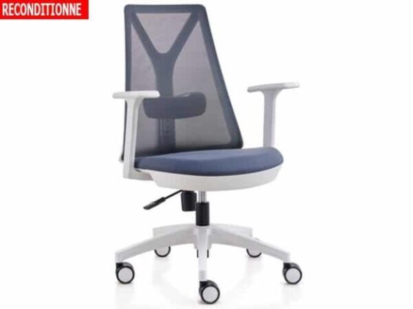 Fauteuil de bureau ergonomique D1-808BW — Gris / Blanc(reconditionné)
