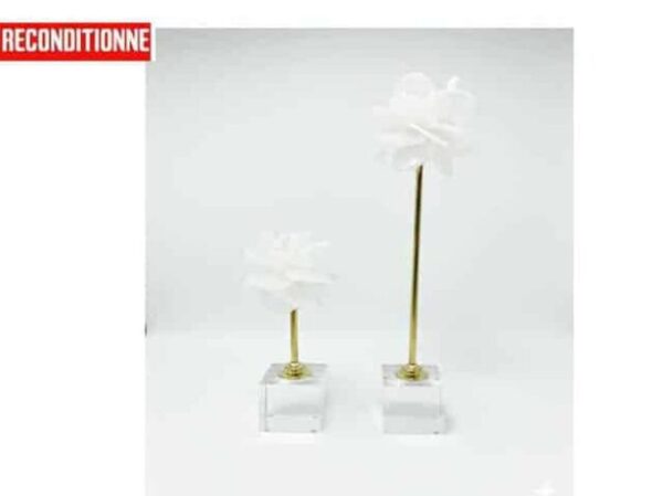 Vase De Decoration Set De 2 Pcs Ref 010 Couleur Blanc/Dore Z (Reconditionné )