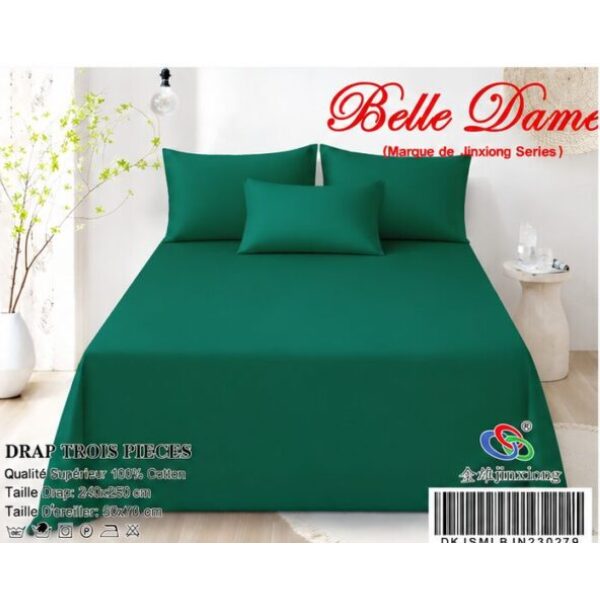Ensemble Drap 3 Pièces(1 draps/2 taies d 'oreillers) 100% Coton – Qualité Supérieure
