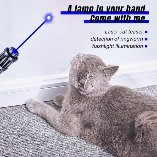 Pointeur Laser Bleu Tactique — Kit 5 embouts, 2 batteries rechargeables & chargeur Pointeur Laser Bleu Tactique — Kit 5 embouts, 2 batteries rechargeables & chargeur