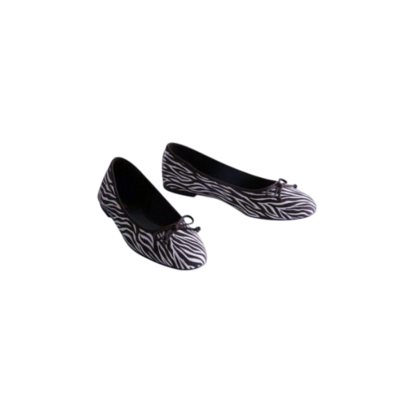 Chaussure Ballerines Tendances  - De EU 36 a EU 41(Motif Zèbre)